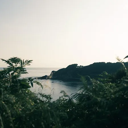 Boutique Txoko 호텔 생장드루즈