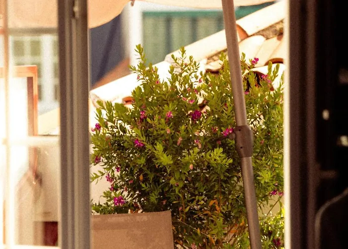 Boutique Txoko Saint-Jean-de-Luz